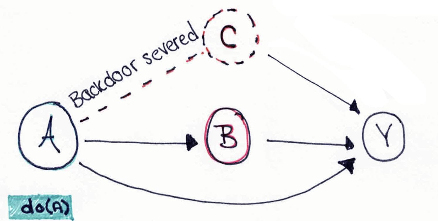 A causal diagram showing how intervention severs the incoming arrow from the confounder, leaving only the causal paths from the treatment to the outcome.